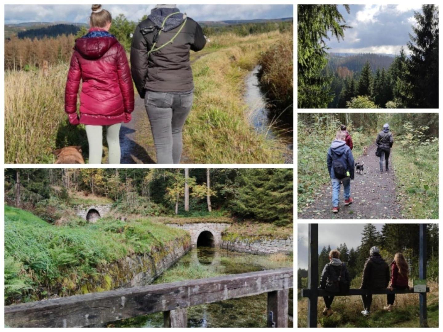 Naturliebeharz Altenau  Buitenkant foto